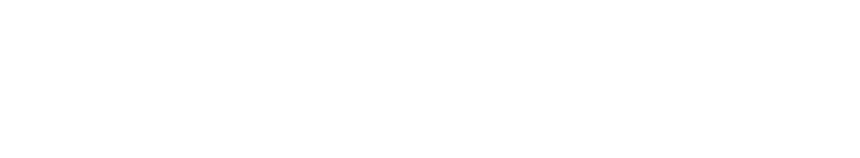 E-ZPass_logo_white